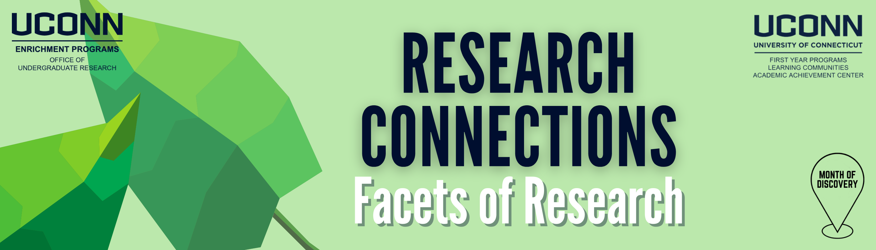 Research Connections: Facets of Research
